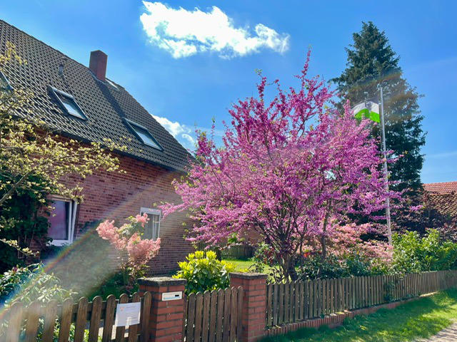 praxis grieser-aussen_4zu3_640px